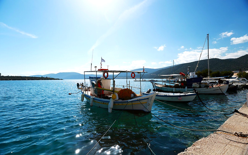 морская рыбалка