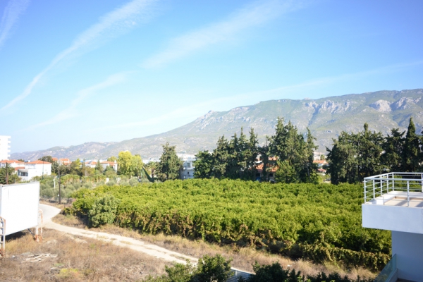 DSC_0056.jpg