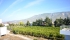 DSC_0056.jpg